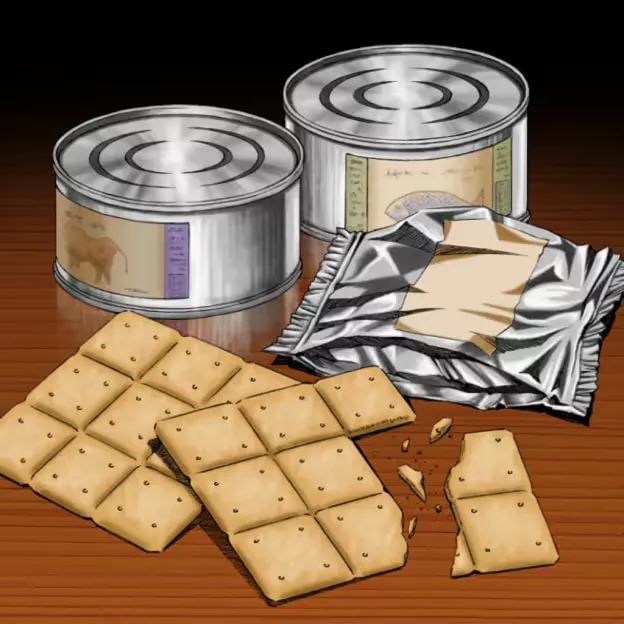 Emergency Provisions