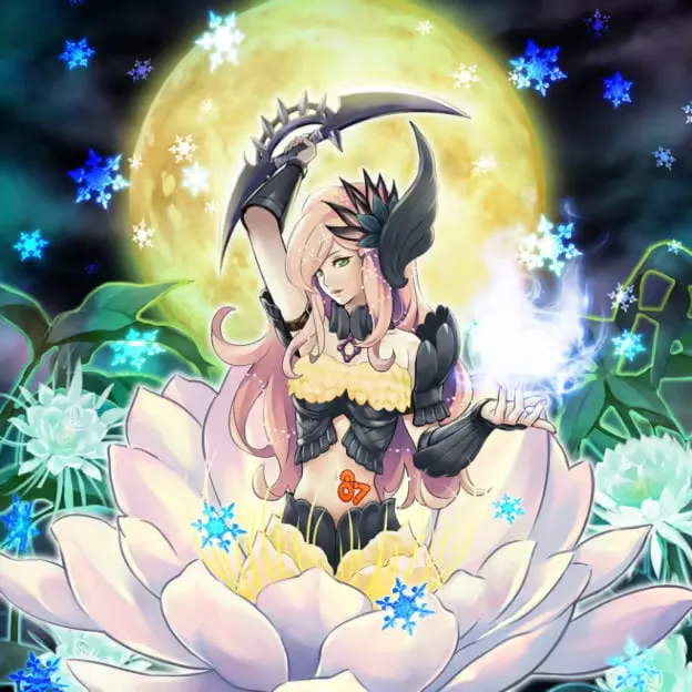 Number 87: Queen of the Night